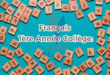 Français 1ère Année Collège