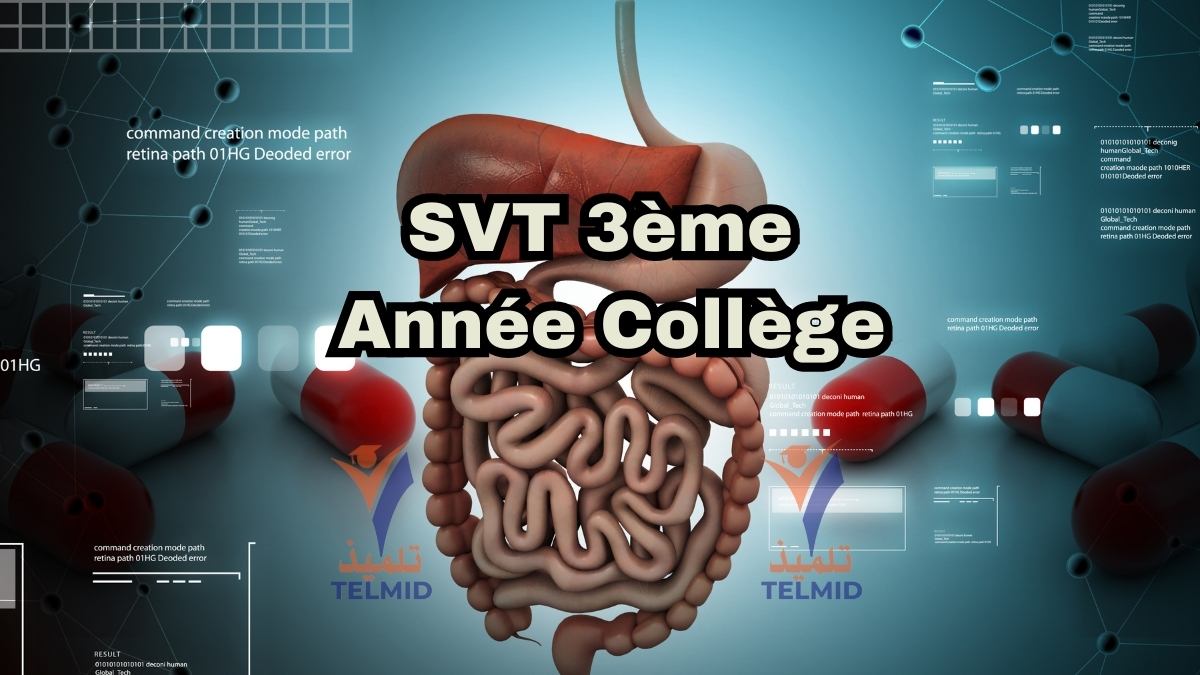 SVT 3ème Année Collège