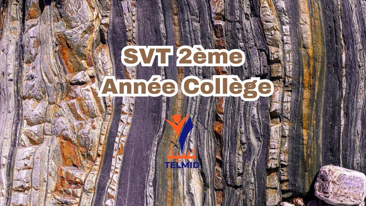 SVT 2ème Année Collège