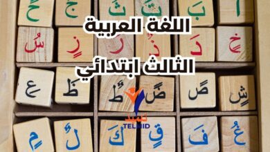 اللغة العربية الثالث ابتدائي