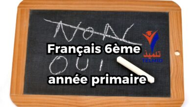 Français 6ème année primaire