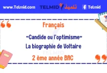 La biographie de Voltaire - Candide ou l’optimisme