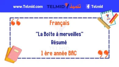 Résumé de La Boîte à merveilles 1 BAC