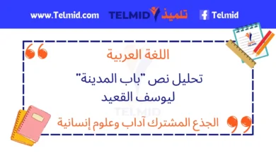 تحليل نص باب المدينة ليوسف القعيد