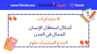 أشكال استغلال الإنسان للمجال في المدن