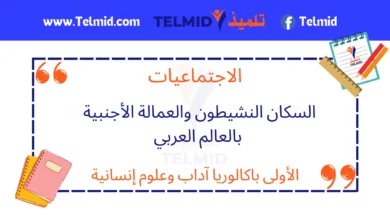 السكان النشيطون والعمالة الأجنبية بالعالم العربي