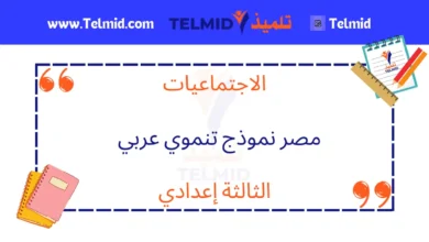 مصر نموذج تنموي عربي